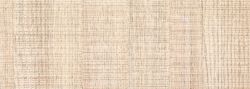   9160 Fehr tlgy Polylac