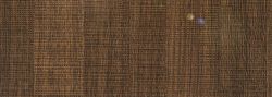   9161 Aranytlgy Polylac