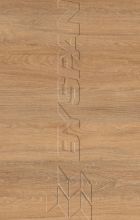  By322-SWN- Santana tlgy ABS (812490)