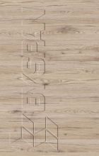   By350-SWN- Bordeaux Tlgy ABS (HD244139) (810125)
