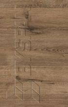   By370-SWN- Wellington Tlgy  ABS (HD241118)(806420)