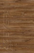   By374-SWN- Stirling Tlgy  ABS (809980)(HD291424)