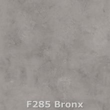   F 285  PS42 - Bronx