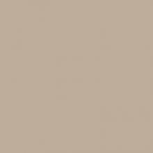   P103 evogloss capuccino