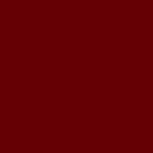   P107 evogloss bord ABS (   )