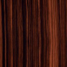   P300 evogloss ebony ABS (HD)